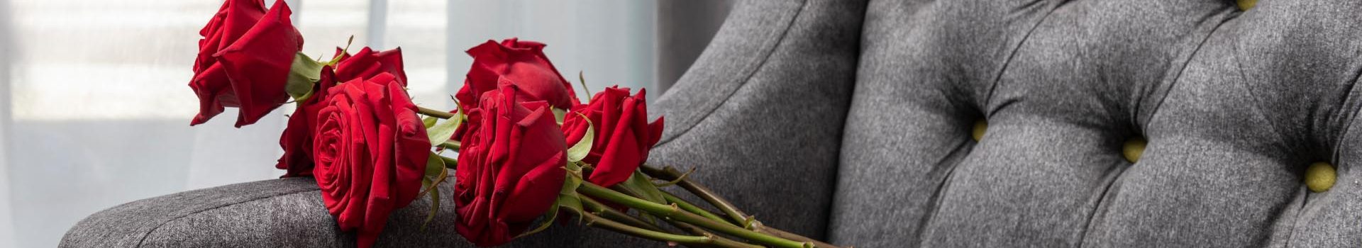 Roses on a chair