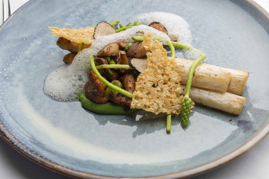 Asparagus starter with mushroom, pea ragout and truffle