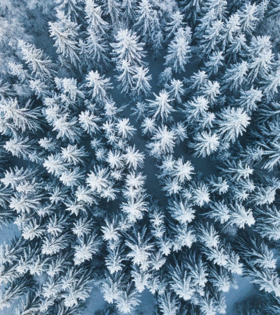 A drone view of a winter wonderland forrest of frosted tree tops