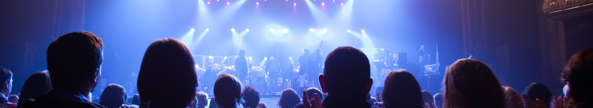 Audience watching a live show in a theatre venue