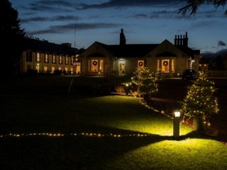 Christmas Trees outside Ness Walk