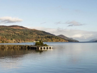 DTH-Updated-Category-Image