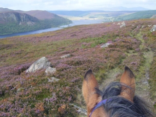 Inverness-horse-riding
