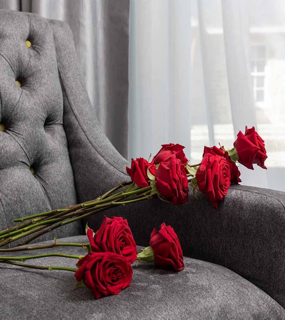 Roses laid out over a plush chair in a Ness Walk hotel bedroom Roses laid out over a plush chair in a Ness Walk hotel bedroom