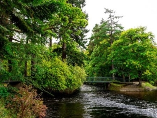 Ness-Islands-e1589298407313