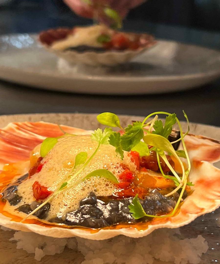 Pan-Seared-Orkney-Scallop-Chorizo-Squid-Ink-Risotto-Chilli-Foam-2