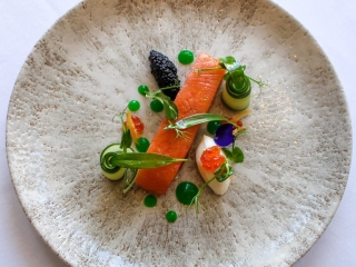 Salmon-Web