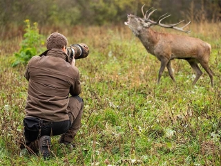 camera-stalking-in-scotland