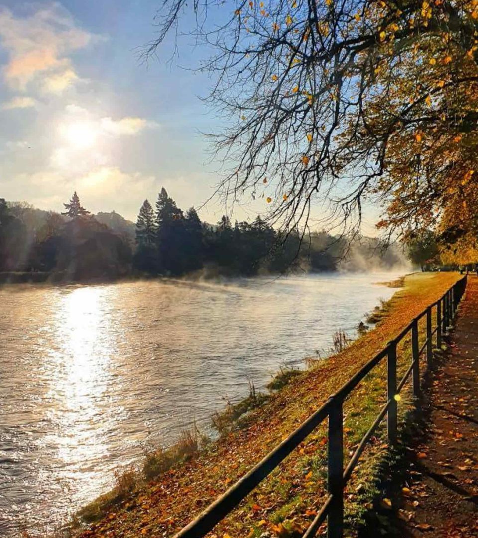 Autumn on Ness Walk overlooking the river with golden leaves and a whisper of low mist on the water