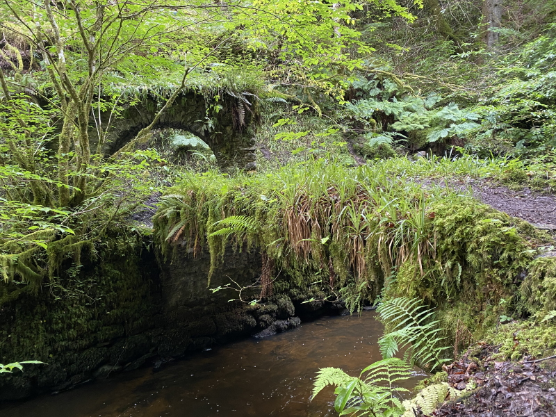 Reeling Glen
