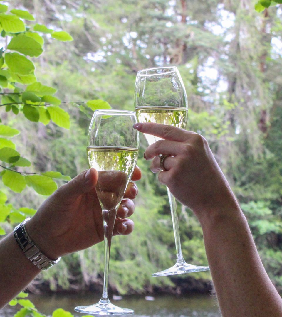 Champagne glasses clinking in front of a lake in a forest