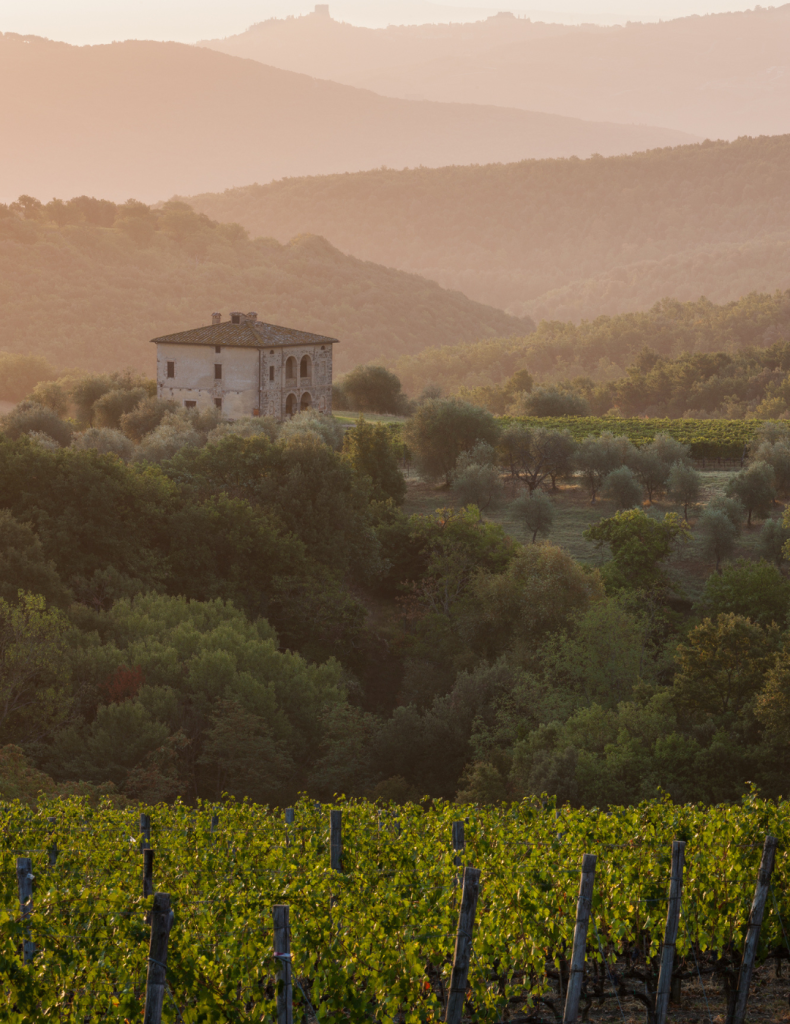 A sunrise view of Biondi-Santi vineyard in Tuscany, featuring rows of grapevines, a traditional stone farmhouse, olive trees, and rolling hills fading into the morning mist.