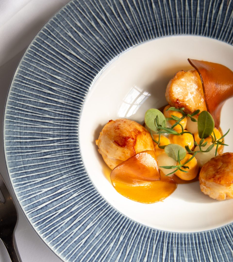 Perfectly seared scallops served during Christmas Day lunch at Ness Walk, accompanied by silky vegetable purées, rich sauce, delicate herb garnish and crisp vegetable crisps, beautifully presented in an elegant blue-rimmed bowl.